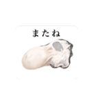激しく動く 大粒 牡蠣（個別スタンプ：14）