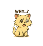 ペルシャ猫のモフモフきもち（個別スタンプ：12）
