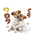元気全開！ジャックラッセルテリア（個別スタンプ：17）