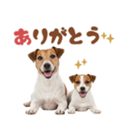 元気全開！ジャックラッセルテリア（個別スタンプ：30）