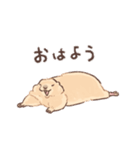 嫁の落書きプレーリードッグさん（個別スタンプ：1）