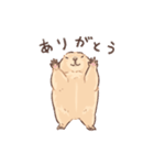 嫁の落書きプレーリードッグさん（個別スタンプ：4）