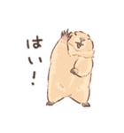 嫁の落書きプレーリードッグさん（個別スタンプ：5）
