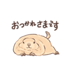 嫁の落書きプレーリードッグさん（個別スタンプ：9）