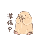嫁の落書きプレーリードッグさん（個別スタンプ：12）