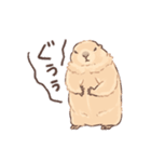 嫁の落書きプレーリードッグさん（個別スタンプ：13）