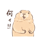嫁の落書きプレーリードッグさん（個別スタンプ：19）