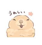 嫁の落書きプレーリードッグさん（個別スタンプ：21）