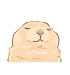 嫁の落書きプレーリードッグさん（個別スタンプ：22）