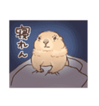 嫁の落書きプレーリードッグさん（個別スタンプ：40）