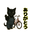 クロネコ ごまちゃんのつぶやき（1）（個別スタンプ：1）