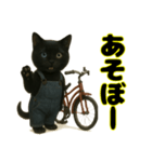 クロネコ ごまちゃんのつぶやき（1）（個別スタンプ：3）