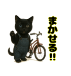 クロネコ ごまちゃんのつぶやき（1）（個別スタンプ：4）