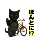 クロネコ ごまちゃんのつぶやき（1）（個別スタンプ：6）