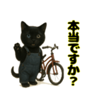 クロネコ ごまちゃんのつぶやき（1）（個別スタンプ：7）