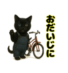 クロネコ ごまちゃんのつぶやき（1）（個別スタンプ：9）