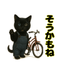 クロネコ ごまちゃんのつぶやき（1）（個別スタンプ：10）