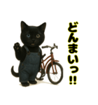 クロネコ ごまちゃんのつぶやき（1）（個別スタンプ：13）