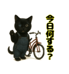 クロネコ ごまちゃんのつぶやき（1）（個別スタンプ：22）