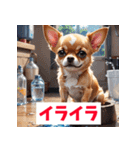 感情まるわかりチワワ（個別スタンプ：11）