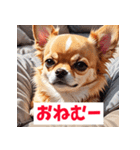 感情まるわかりチワワ（個別スタンプ：12）