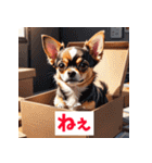 感情まるわかりチワワ（個別スタンプ：16）