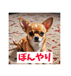 感情まるわかりチワワ（個別スタンプ：25）