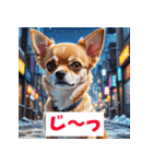 感情まるわかりチワワ（個別スタンプ：36）