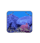 可愛い水族館スタンプ（個別スタンプ：6）