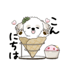 動くシーズー犬 2025 「初夏」13（個別スタンプ：2）