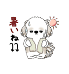 動くシーズー犬 2025 「初夏」13（個別スタンプ：6）