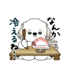動くシーズー犬 2025 「初夏」13（個別スタンプ：7）