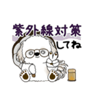 動くシーズー犬 2025 「初夏」13（個別スタンプ：9）