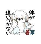 動くシーズー犬 2025 「初夏」13（個別スタンプ：12）