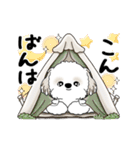 動くシーズー犬 2025 「初夏」13（個別スタンプ：13）