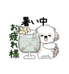 動くシーズー犬 2025 「初夏」13（個別スタンプ：15）