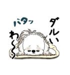 動くシーズー犬 2025 「初夏」13（個別スタンプ：16）