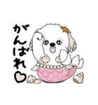 動くシーズー犬 2025 「初夏」13（個別スタンプ：17）