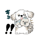 動くシーズー犬 2025 「初夏」13（個別スタンプ：20）