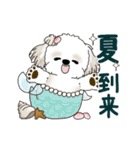 動くシーズー犬 2025 「初夏」13（個別スタンプ：23）