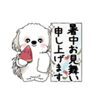 動くシーズー犬 2025 「初夏」13（個別スタンプ：24）