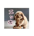 動く！たれみみ☆ロップイヤー（個別スタンプ：2）