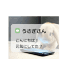 動く！たれみみ☆ロップイヤー（個別スタンプ：5）
