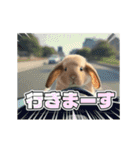 動く！たれみみ☆ロップイヤー（個別スタンプ：6）