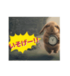 動く！たれみみ☆ロップイヤー（個別スタンプ：15）