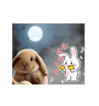 動く！たれみみ☆ロップイヤー（個別スタンプ：21）