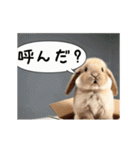 動く！たれみみ☆ロップイヤー（個別スタンプ：22）