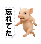 ミニブタのメッセージスタンプ（個別スタンプ：17）