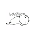 ねこの提供です。（個別スタンプ：7）