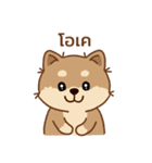 マランちゃんの毎日が楽しい！タイ語（個別スタンプ：11）